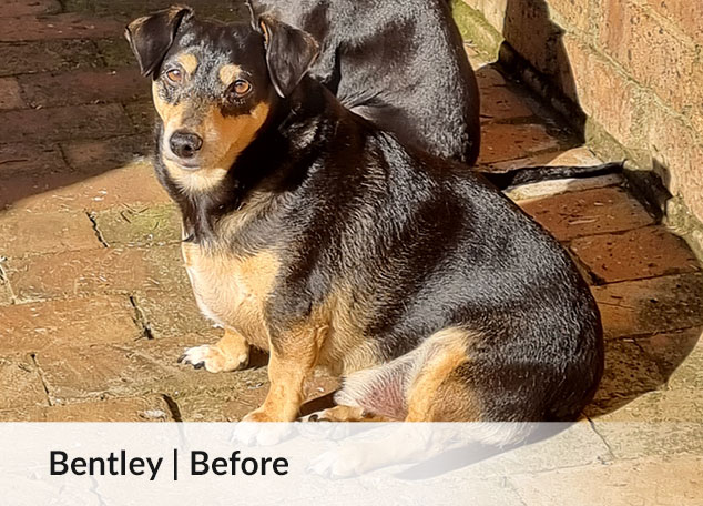 Bentley - progress 1