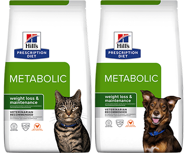 Enrol your pet