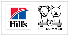 logo big